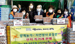서울 관악농협, 자연방사 유정란 판매 행사