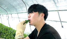 [NBS하이라이트] 공대생의 농사 적응기