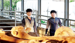 [NBS하이라이트] 동생 따라 귀농…한우 키우는 형제