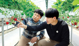 “정책자금 상환·추가 신청 판단 큰 도움”…딸기농장 역량 키워