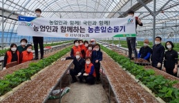 충남 서부여농협, 일손돕기 실시