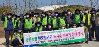 경기 평택 송탄농협 원로청년회, 도시숲 가꾸기 행사 열어