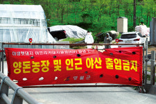 ASF 7개월만에 농장 발생…방역 ‘비상’