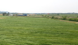 갈수록 주는 농업진흥지역…92만 → 77만㏊ ‘뚝’