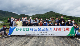 전남 화순 능주농협, 벼 드문모심기 시연회