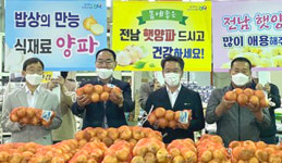 “전남 햇양파 싸게 사고 농가에 힘 보태주세요”