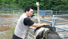 [NBS 하이라이트] 타조 매력에 빠져…동물농장 주인됐죠