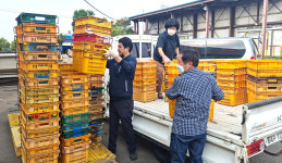 제주 서귀포 성산일출봉농협, 폐컨테이너상자 수거사업