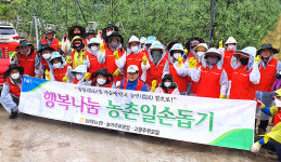 경북 봉화농협, 사과농장서 열매솎기