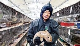 [축산달인을 만나다] 토끼곰탕·진액 상품화…지육 판매 때보다 소득 2~3배 높아