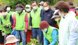 강원 평창농협·서울 경서농협, 지동리 산채농가 일손 도와