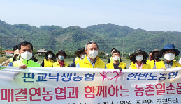 강원 영월 한반도농협·경기 성남 판교낙생농협·농협인재개발원, 영월군 주천리서 일손 도와