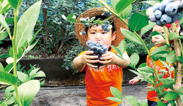 [귀농귀촌 핫플 ⑩] 축제·체험·관광 육성 기반 탄탄 … 귀농 메카 꿈꾼다