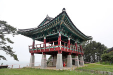 서천에 왔다면? 사막여우 있는 ‘국립생태원’ 부드러운 면발 ‘모시해물칼국수’