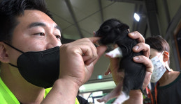 [NBS 하이라이트] 특수부대 장교 출신 동물체험농장 운영