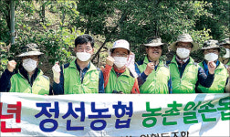 강원 정선농협·NH농협 정선군지부·정선 임계농협, 사과 열매솎기·환경정리 구슬땀