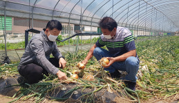 조달청, 군납 농산물 22품목 단가 상향 조정