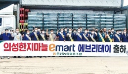 경북 의성 금성농협, 한지마늘 이마트 에브리데이 출하