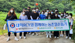 NH농협 경북 경주시지부·경주농협, 조합원 농가 일손돕기
