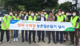 전국금융산업노동조합 NH농협지부 충남세종지역본부, 옥수수 수확·고추밭 줄 매기 도와