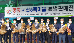 서산시·농협 시지부, 서울서 ‘6쪽마늘 특별 판매전’