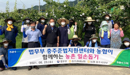NH농협 충북 충주시지부·산척농협·충주축협·충북원예농협, 합동 일손돕기 구슬땀