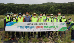 농협 조합감사위원회 ‘올빼미 일손돕기’ 눈길