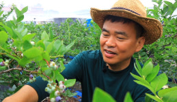 [NBS 하이라이트] 블루베리 치유농장 꿈꾸는 부부