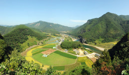 [테마별 농촌마을 12선-1] 인생샷 찍을 수 있는 마을