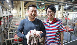 노후 양돈장→스마트팜 탈바꿈 성공…“맞춤 컨설팅 덕분”