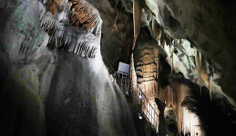 [감성여행] 단양 고수동굴, 천년동안 흘린 눈물로 맺는 ‘사랑의 결실’