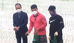 우렁이농법으로 쌀농가 소득 높인다