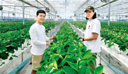 [MZ 농을 바꾸다] 실험하고 수치화…과학 영농 도전