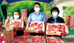 화촌농협, 홍천휴게소 행복장터서 복숭아 판매행사 열어