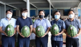 [탐방 선도농협] 맹동농협, ‘다올찬’ 수박 품질 향상·판로 개척 ‘혼신’