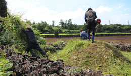 “믿고 맡긴 만큼 정성 다해 벌초합니다”