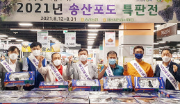 경기 화성 송산농협, 송산포도 특판전