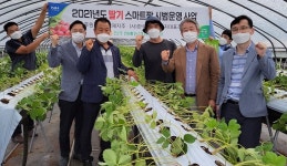 농협, 딸기 스마트팜 시범운영…인력부족 해소 기대