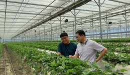 “컨설팅 덕분에 비닐온실 등기 신청…자금 마련 큰 도움”