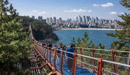 [출렁다리] ‘출렁’ 다리 ‘일렁’ 파도...한발 한발 ‘秋억’ 밟기