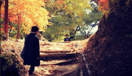 가을옷 입은 산길 따라 숲내음 느껴볼까…전국 가볼 만한 사찰 길