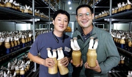 농업종합자금 소개받아 농장 규모화 성공