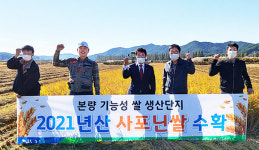 광주광역시 본량농협, 기능성 ‘사포닌쌀’ 수확 시작