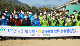 경남농협·무학, 단감수확 돕고 농가 점심 지원