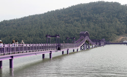 신안 ‘퍼플섬’ 세계적 관광마을 우뚝