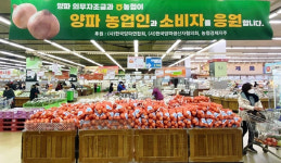 농협, 양파농가 소비촉진 특판 총력…농협하나로마트서 23일까지