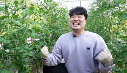 [NBS 하이라이트] 방울토마토 농사짓는 전직 씨름선수
