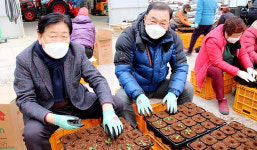 직산농협, 소상공인에 ‘피튜니아’ 선물키로