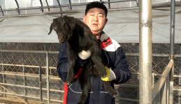 [NBS 하이라이트] 흑염소 300마리 사육하는 변용호씨