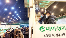 겨울대파값 예측 엇갈려…“출하늘어 하락” “산지폐기로 상승”